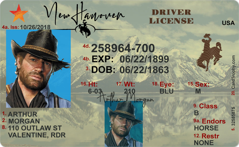 Arthur Morgan Driver License