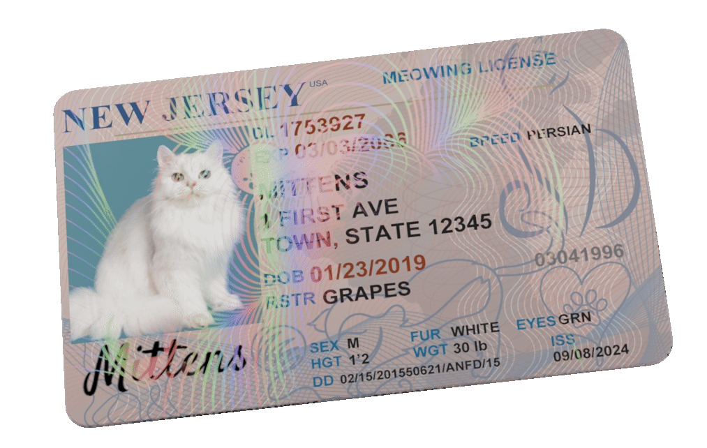 www.Dog.Cards Custom Pet License