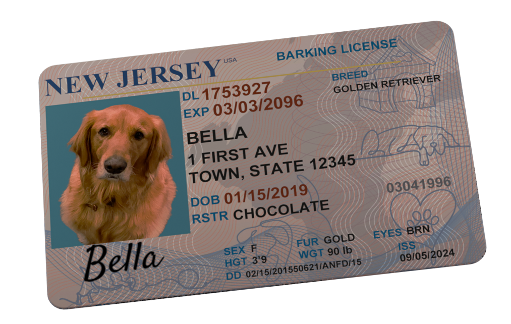 Custom Dog License