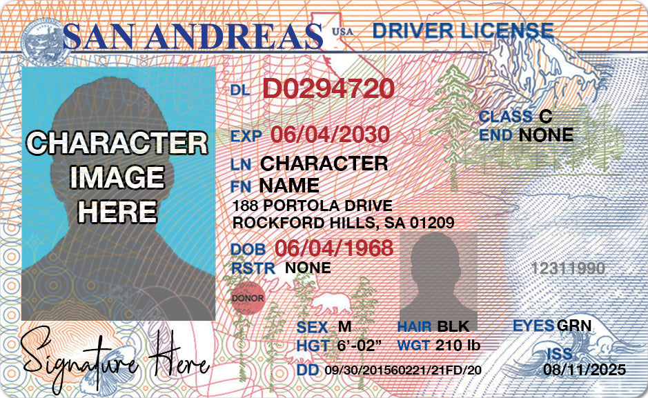 GTA San Andreas Driver License