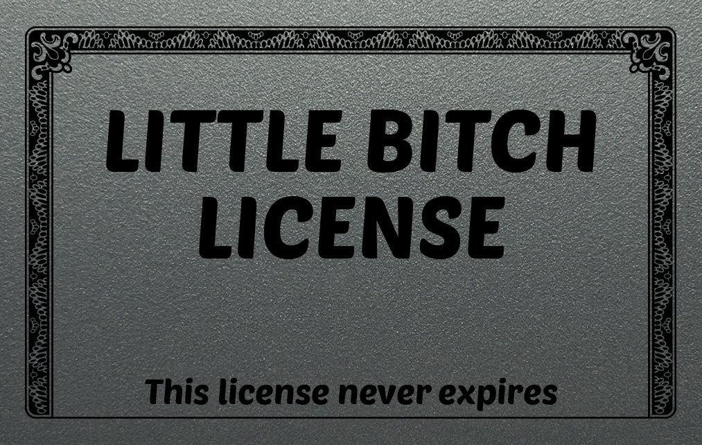 LIttle B**** License