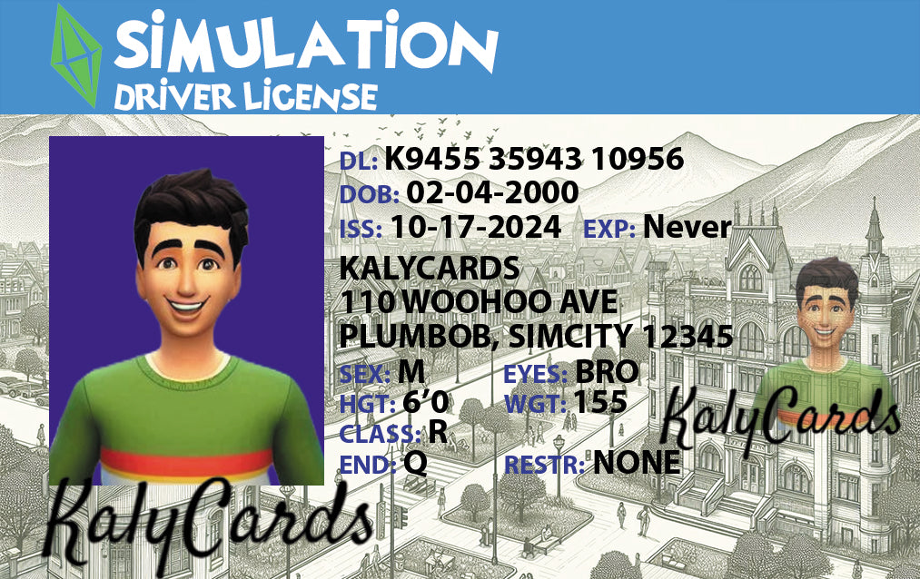 The Sims Driver License