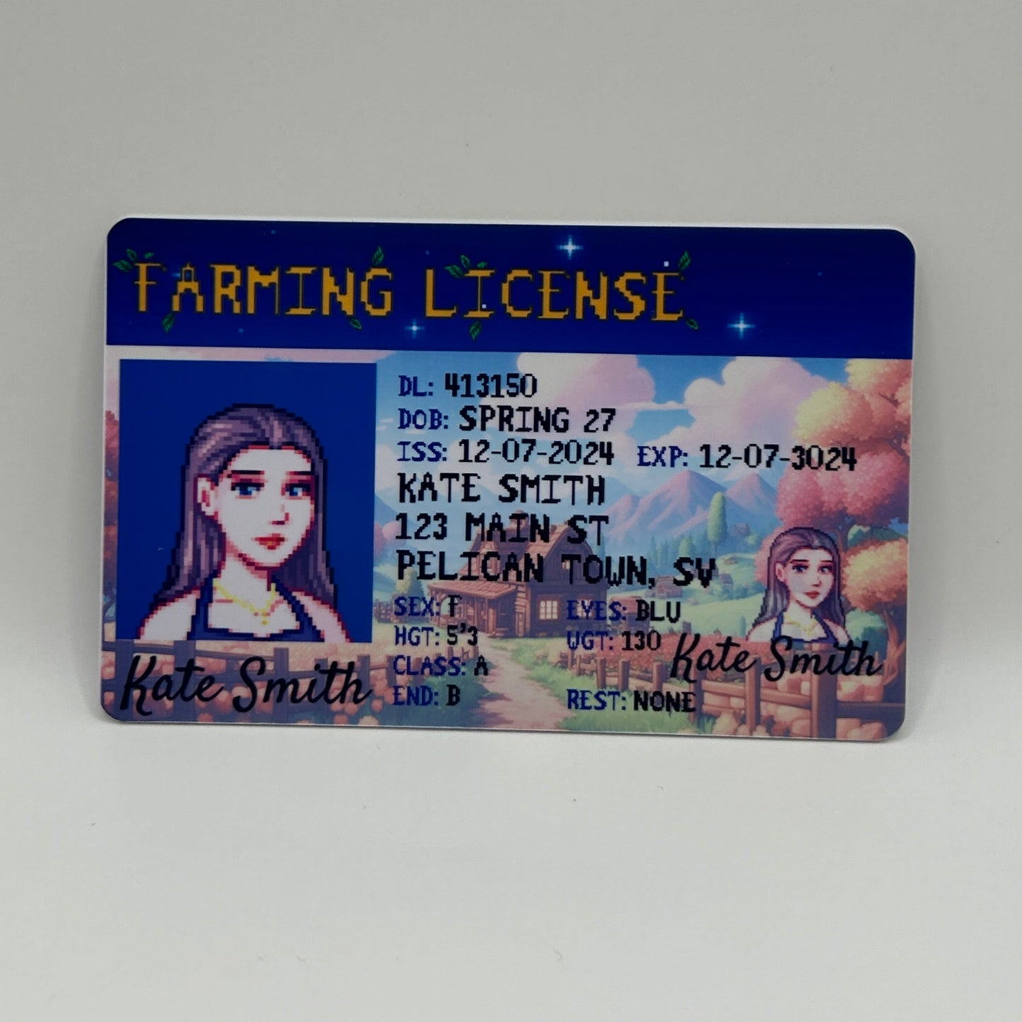 Custom Stardew Valley Gift. Driver License for a stardew valley character. Option A, front side