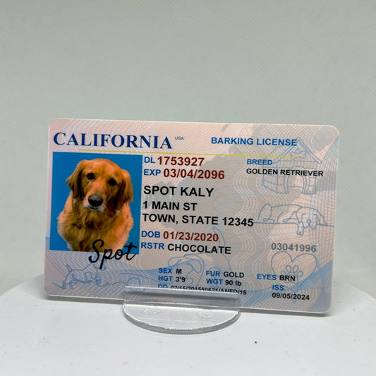 Personalized Driver License for a Dog