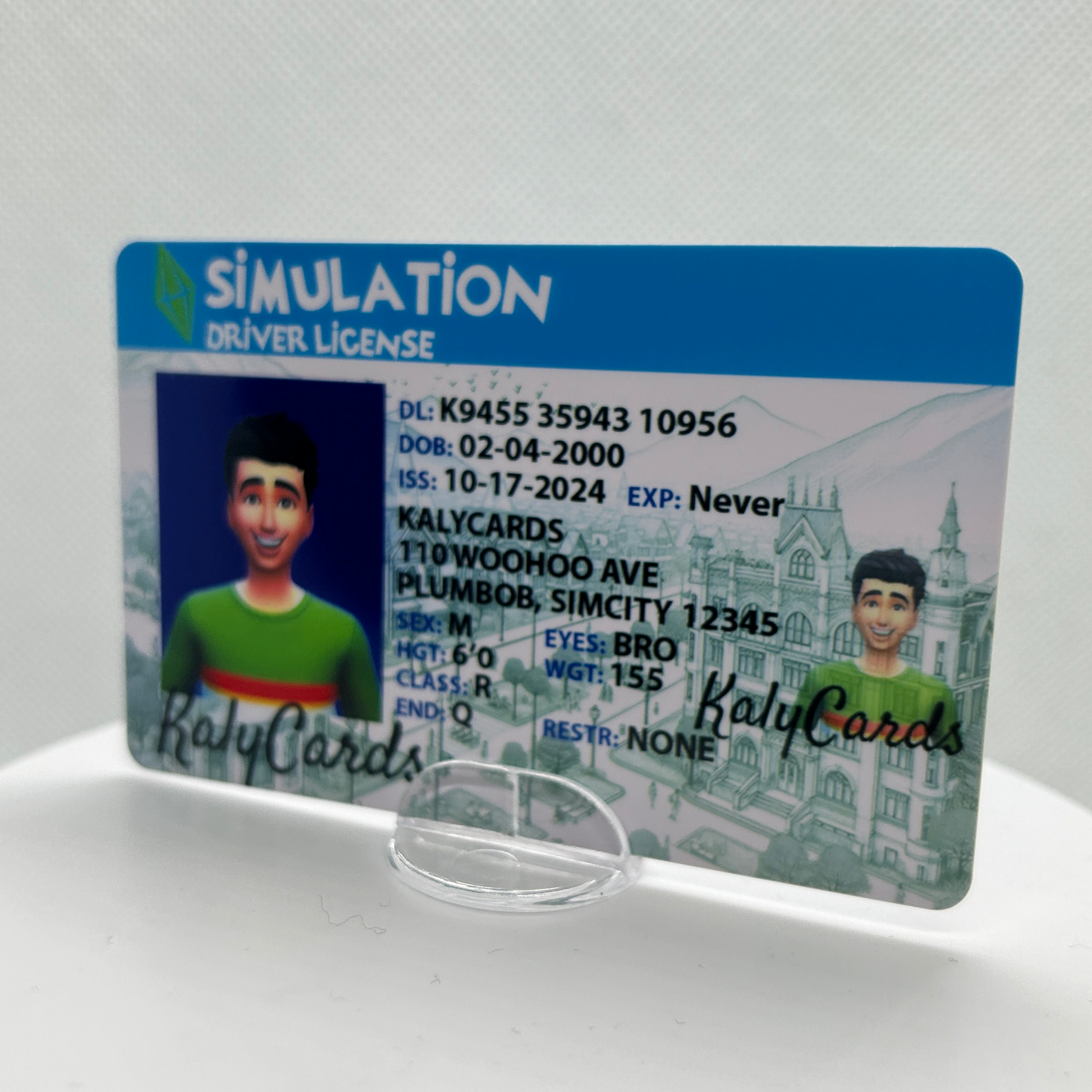 Custom Sims Gift. A personalized Sims driver license. Video game themed party favors