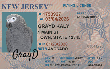 Custom bird driver license with pet name and photo
