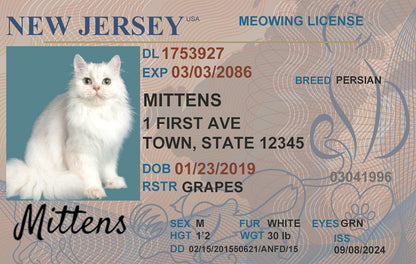 Custom cat driver license with pet name and photo