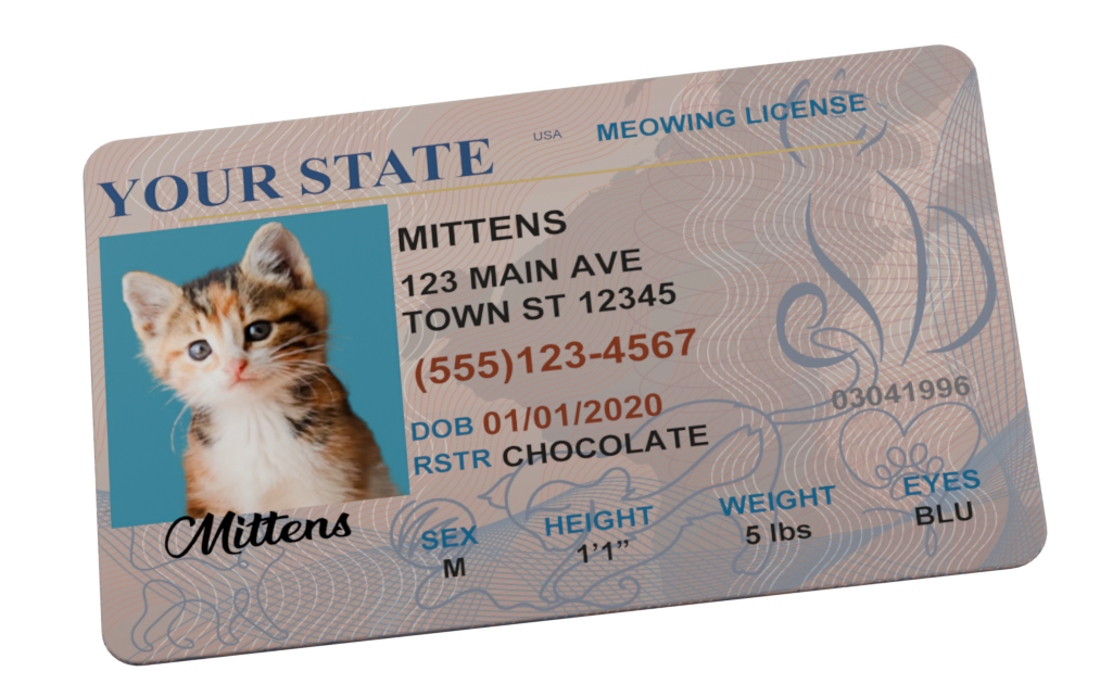 Custom Pet License: www.Dog.Cards