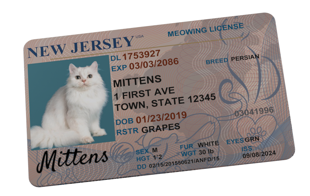 Custom Pet Driver License