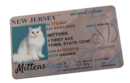 Custom Pet Driver License