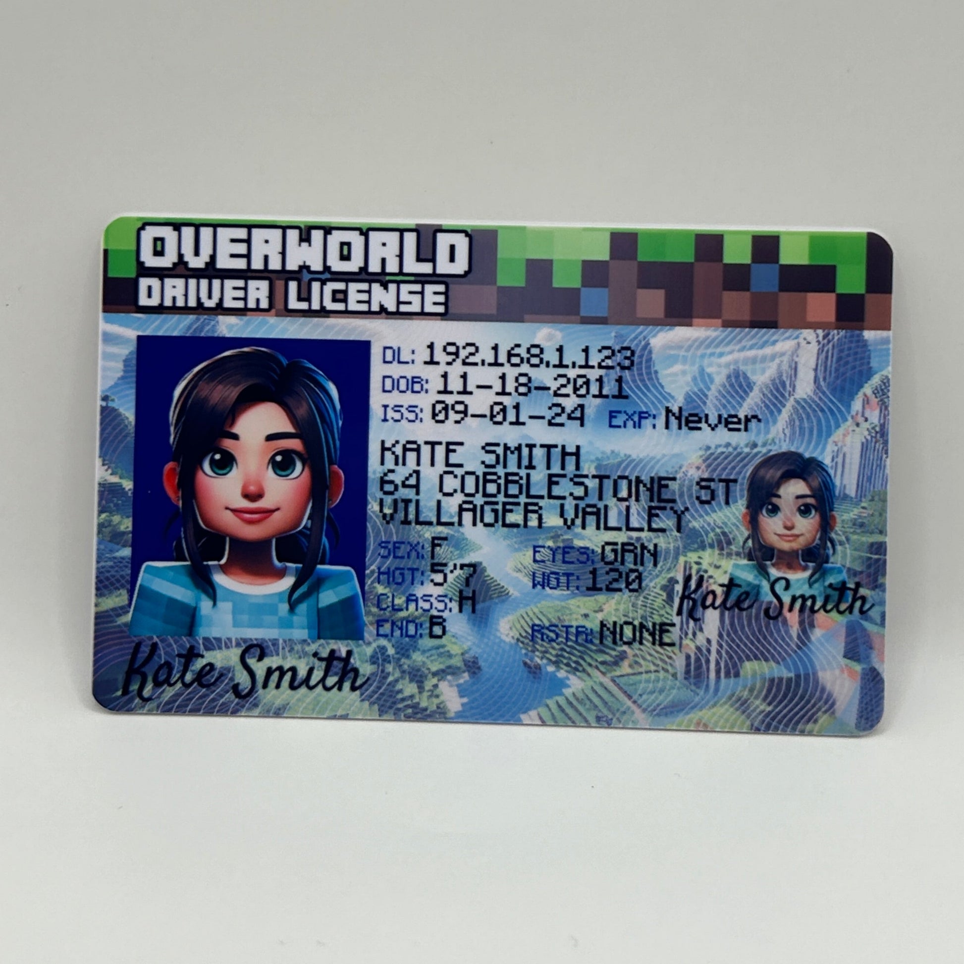 Minecraft Custom Driver License - Custom Minecraft Gift. Gift idea for Minecraft player. Special minecraft gift card KalyCards