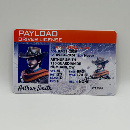 Overwatch Custom Driver License, Custom Overwatch Gift. Overwatch Party Favors. Overwatch Payload Princess License - KalyCards