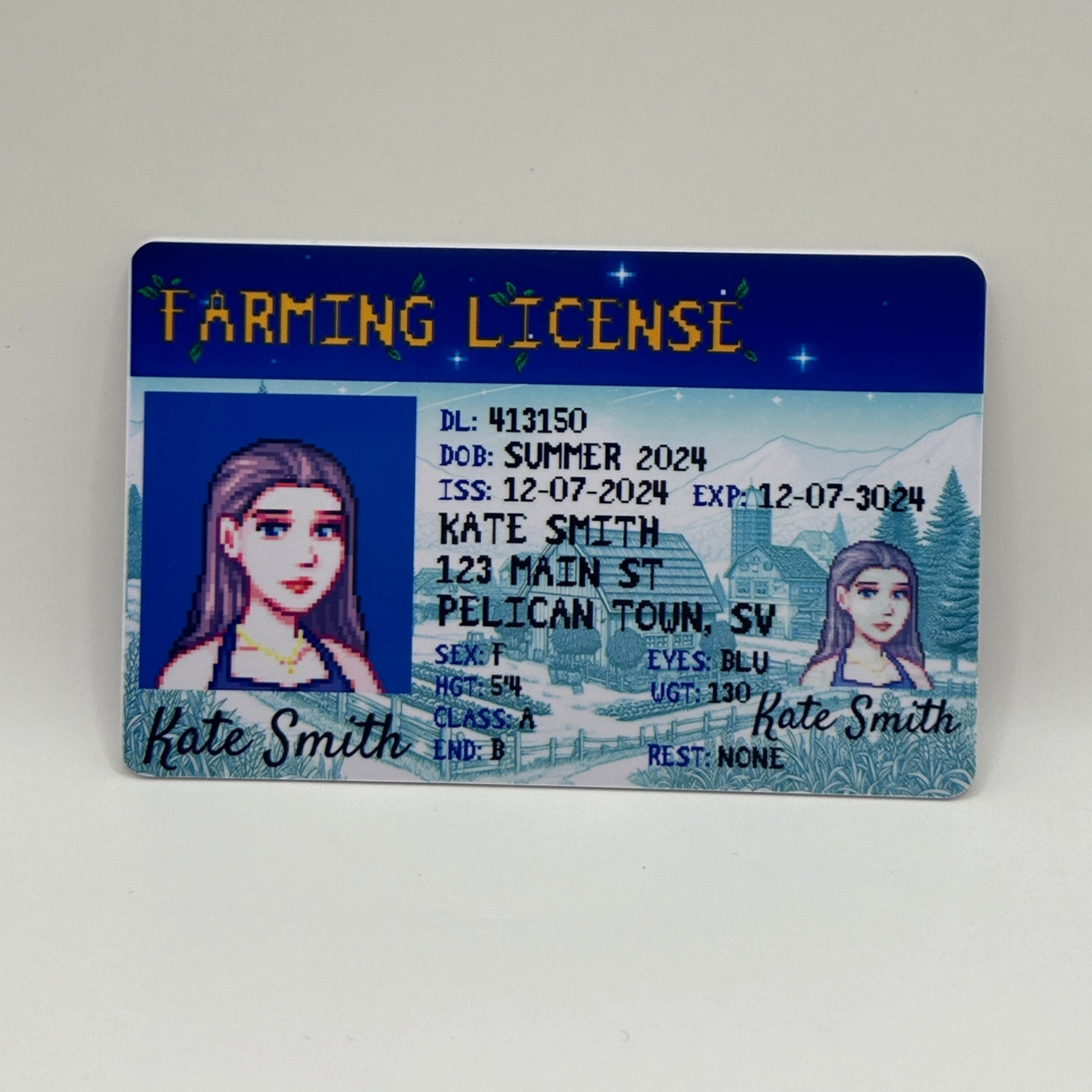 Custom Stardew Valley Gift. Driver License for a stardew valley character. Option B, front side