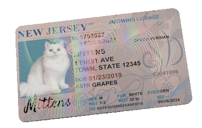 Custom Pet Driver License