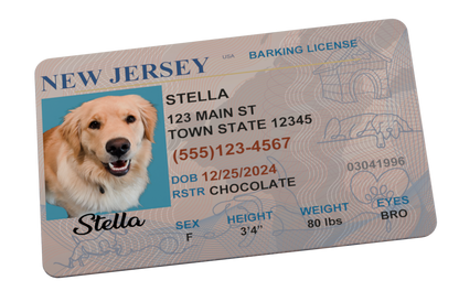 custom dog driver license pet id