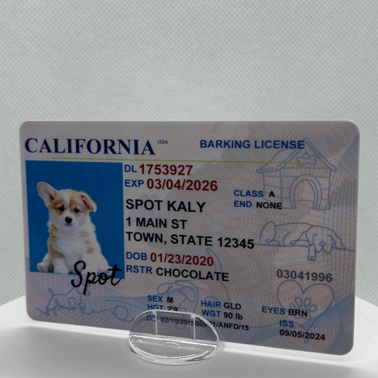 Dog Custom Driver License - KalyCards