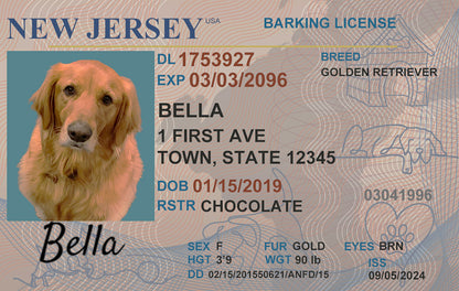 Custom dog driver license with pet name and photo