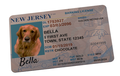 Custom Dog License