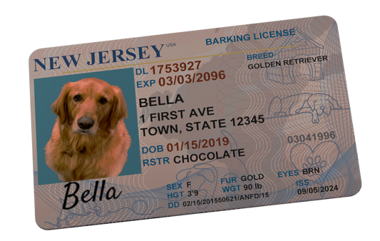 Custom Pet Driver License