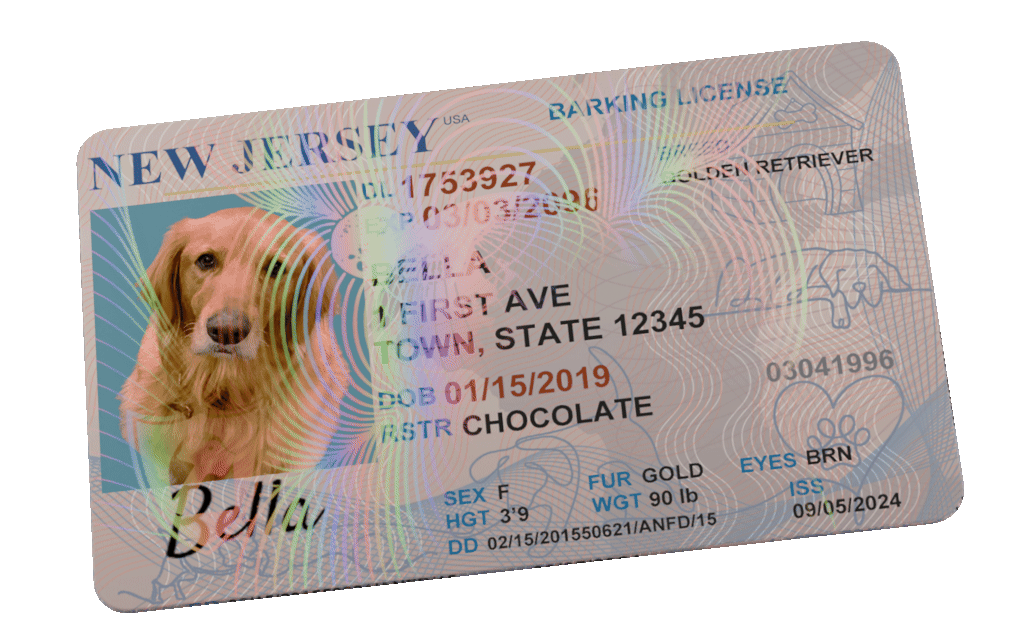 Custom Dog License