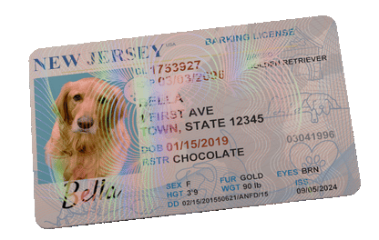 Custom Dog License