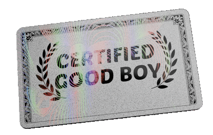 Certified Good Boy Award