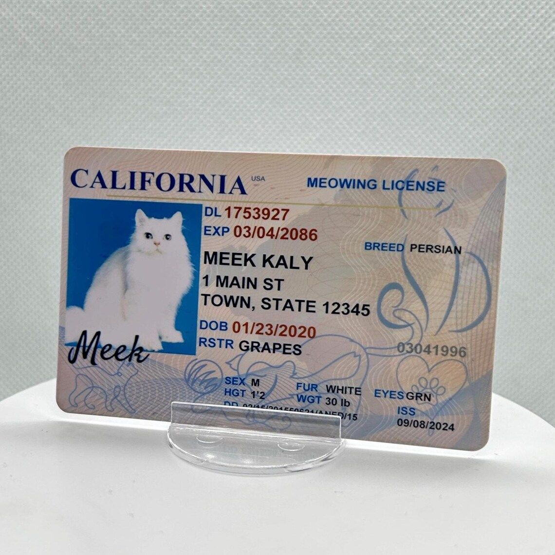 Personalized Driver License for a Cat