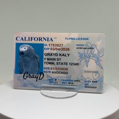 Personalized Driver License for a Bird