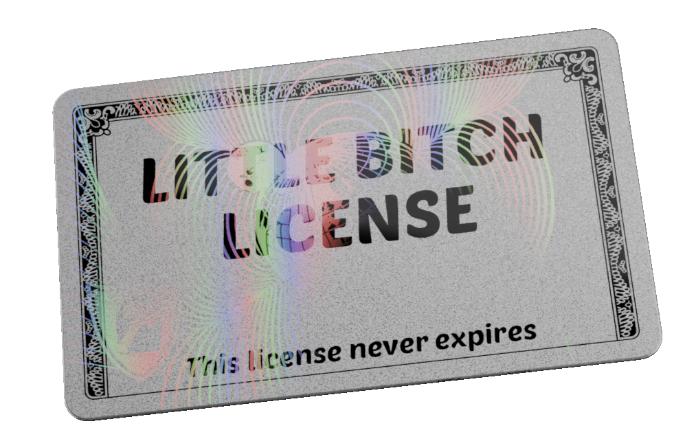 LIttle B**** License