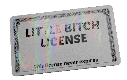 LIttle B**** License
