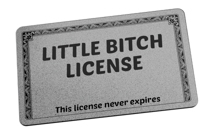 LIttle B**** License