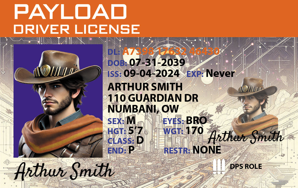 Personalized Overwatch license with hero role and design